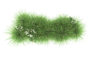 Realistic foliage isolated on transparent background. 3d rendering - illustration png