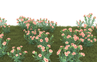 Realistic foliage isolated on transparent background. 3d rendering - illustration png