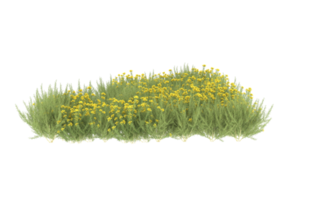 Realistic foliage isolated on transparent background. 3d rendering - illustration png