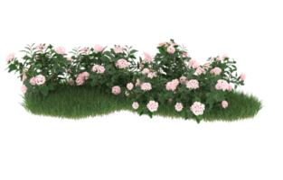 Realistic foliage isolated on transparent background. 3d rendering - illustration png