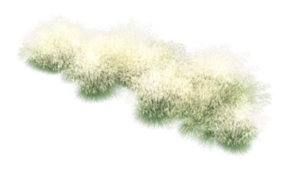 Realistic foliage isolated on transparent background. 3d rendering - illustration png