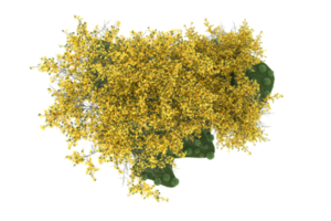 realistico foresta isolato su trasparente sfondo. 3d interpretazione - illustrazione png