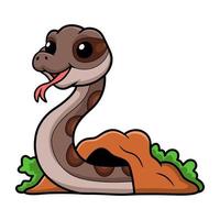 Cute rattlesnake cartoon out from hole vector