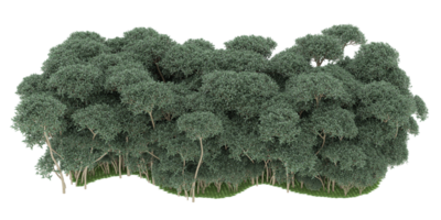 floresta realista isolada em fundo transparente. renderização 3D - ilustração png