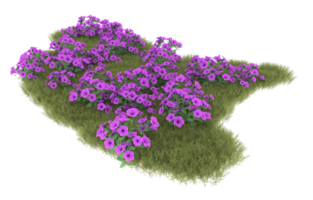 Realistic foliage isolated on transparent background. 3d rendering - illustration png