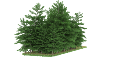 forêt réaliste isolée sur fond transparent. rendu 3d - illustration png