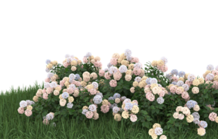 Realistic foliage isolated on transparent background. 3d rendering - illustration png