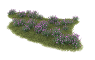 Realistic foliage isolated on transparent background. 3d rendering - illustration png
