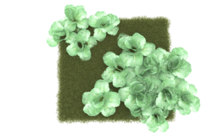 Realistic foliage isolated on transparent background. 3d rendering - illustration png