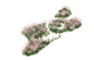 Realistic foliage isolated on transparent background. 3d rendering - illustration png