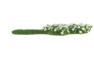 Realistic foliage isolated on transparent background. 3d rendering - illustration png