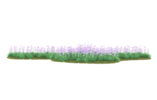 Realistic foliage isolated on transparent background. 3d rendering - illustration png