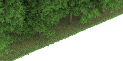 floresta realista isolada em fundo transparente. renderização 3D - ilustração png