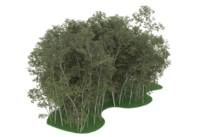 floresta realista isolada em fundo transparente. renderização 3D - ilustração png