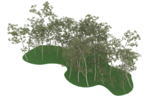 forêt réaliste isolée sur fond transparent. rendu 3d - illustration png