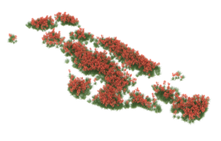 realistisk lövverk isolerat på transparent bakgrund. 3d tolkning - illustration png