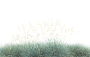 Realistic foliage isolated on transparent background. 3d rendering - illustration png