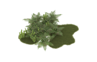 Realistic foliage isolated on transparent background. 3d rendering - illustration png