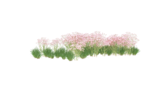 Realistic foliage isolated on transparent background. 3d rendering - illustration png