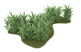 Realistic foliage isolated on transparent background. 3d rendering - illustration png