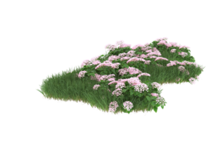 Realistic foliage isolated on transparent background. 3d rendering - illustration png