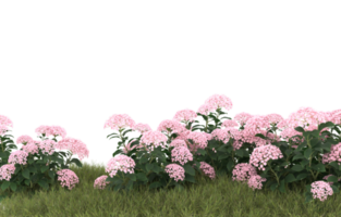 Realistic foliage isolated on transparent background. 3d rendering - illustration png