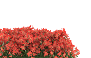 Realistic foliage isolated on transparent background. 3d rendering - illustration png