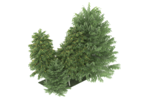 forêt réaliste isolée sur fond transparent. rendu 3d - illustration png