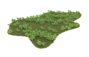 Realistic foliage isolated on transparent background. 3d rendering - illustration png