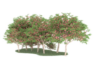 Realistic forest isolated on transparent background. 3d rendering - illustration png