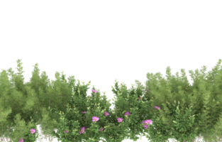Realistic foliage isolated on transparent background. 3d rendering - illustration png