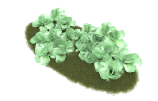 Realistic foliage isolated on transparent background. 3d rendering - illustration png