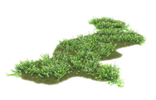 Realistic foliage isolated on transparent background. 3d rendering - illustration png