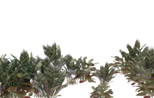 Realistic foliage isolated on transparent background. 3d rendering - illustration png