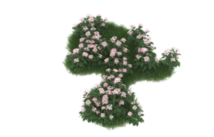 Realistic foliage isolated on transparent background. 3d rendering - illustration png