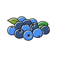 bunch of blueberries leaf color icon vector illustration