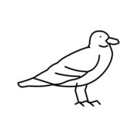 gaviota pájaro línea icono vector ilustración