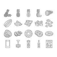 pineapple fruit tropical food icons set vector