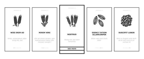 barley cereal grain harvest onboarding icons set vector