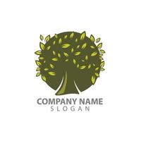 tree logo graphic design concept. Editable tree element, can be used as logotype, icon, template in web and print vector