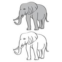 Elephant cartoon isolated on white. African bush or forest elephant and Asian elephant vector