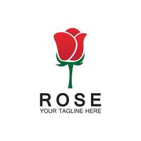 Rose logo flower vector icon illustration design