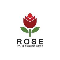 Rose logo flower vector icon illustration design