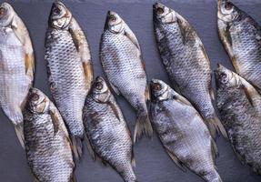 dried fish scam with scales on a black background photo