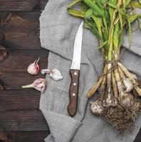 bunch of young garlic and a kitchen knife photo