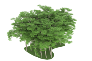 floresta realista isolada em fundo transparente. renderização 3D - ilustração png