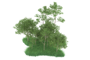 realistisk skog isolerat på transparent bakgrund. 3d tolkning - illustration png