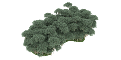 Realistic forest isolated on transparent background. 3d rendering - illustration png