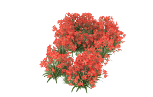 Realistic foliage isolated on transparent background. 3d rendering - illustration png