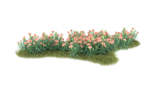 Realistic foliage isolated on transparent background. 3d rendering - illustration png